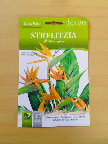 عصفور الجنة الملكي