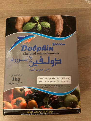 دولفين بورون