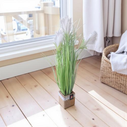 شجر اخضر مع مركن