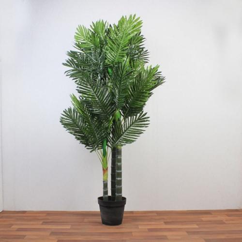 شجر أخضر كبير