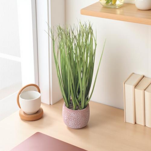 شجر اخضر مع مركن