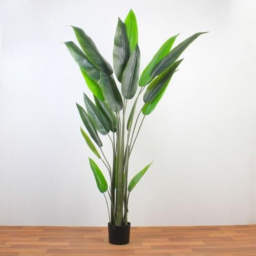 شجر أخضر كبير