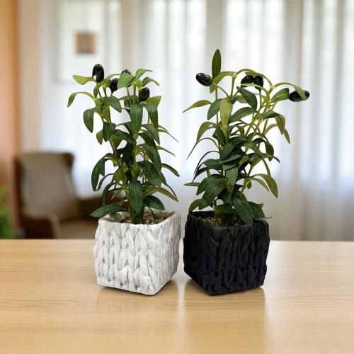 تنسيق ورد مركن