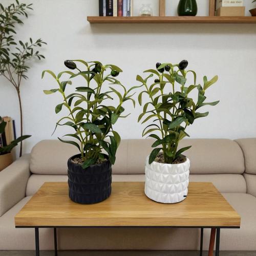 تنسيق ورد مركن