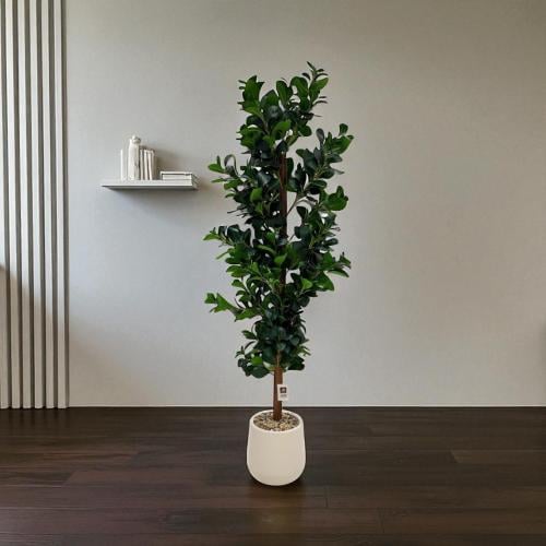 شجر ديكور مقاس 1.8 متر