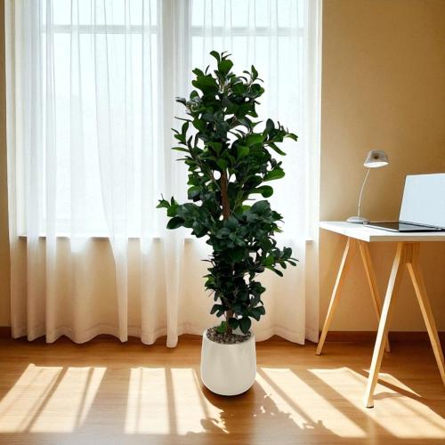 شجر ديكور مقاس 1.6 متر