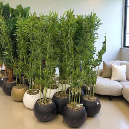 شجر ديكور بامبو