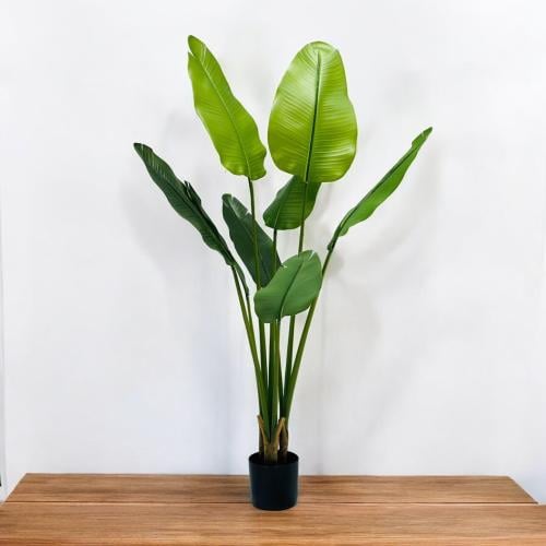 شجر اخضر مع مركن ديكور مقاس 1.2 متر