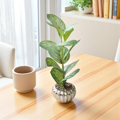 شجر اخضر مع مركن