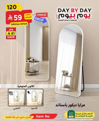 مرايا استاند مقاس 57 * 162 سم