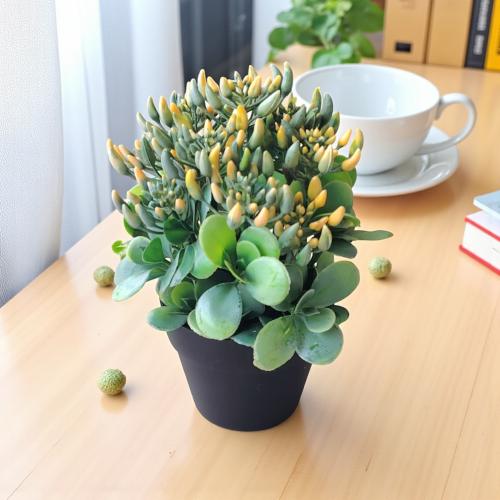 شجر ورد ملون مع مركن