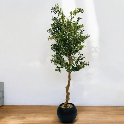 شجر اخضر مع مركن ديكور مقاس 1.8 متر