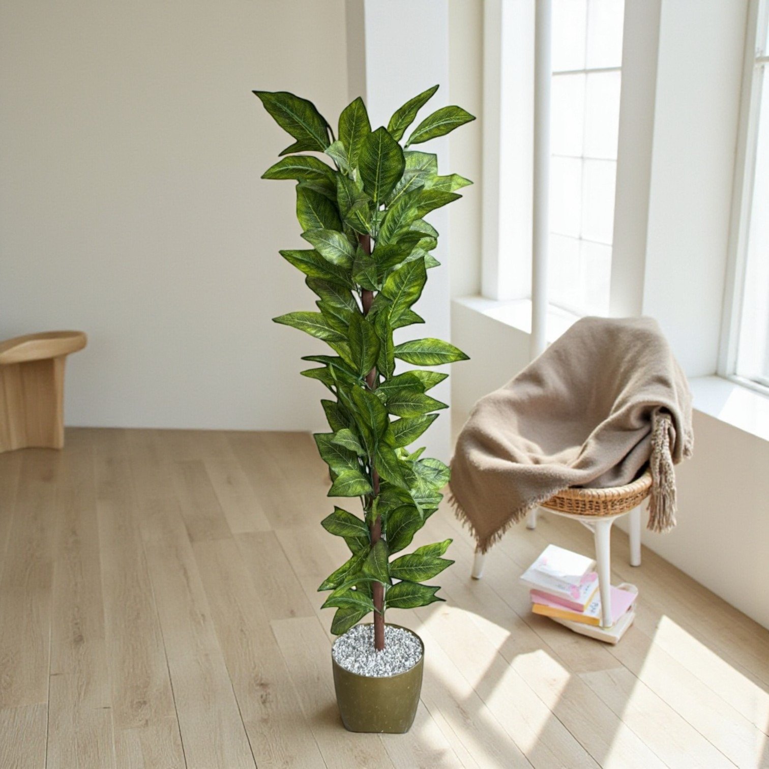 شجر أخضر مع مركن