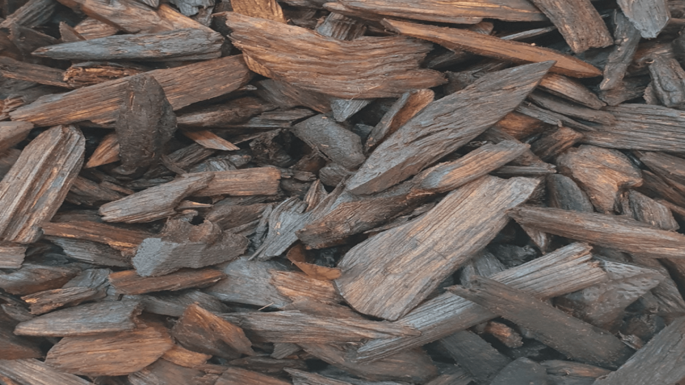 أفضل 5 أنواع مبثوث فاخرة