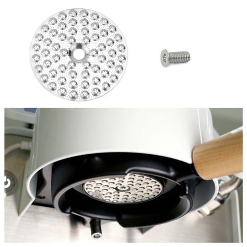 شور سكرين ديسنت الحديث Freckles Shower Screen