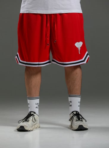 Short/40