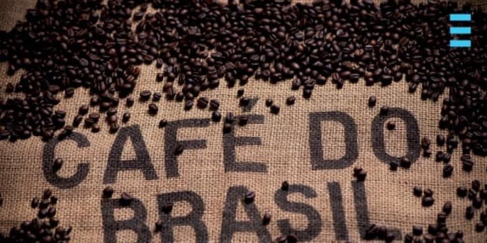 تاريخ القهوة البرازيلية وافضل انواع تناسب فنجانك الصباحي