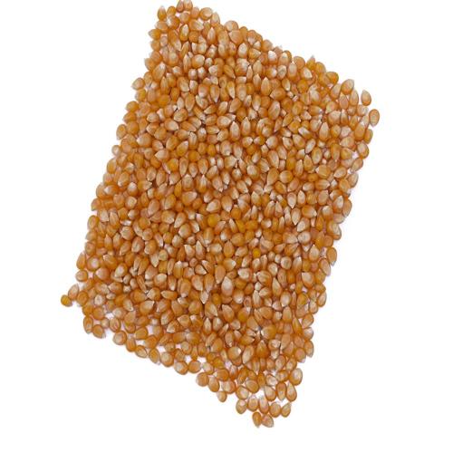 ذرة فشار