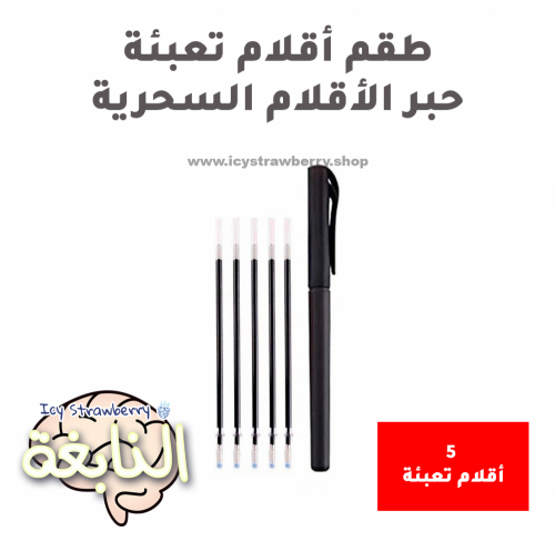 Magic Pen for Learning Books 5/set