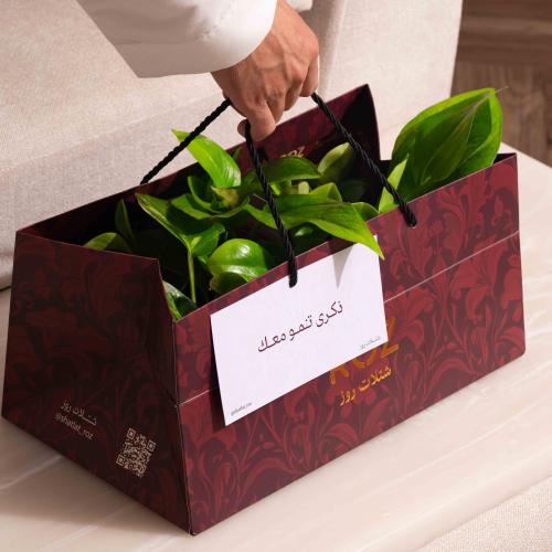 توزيعات نباتات طبيعية