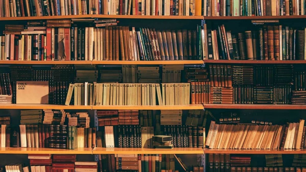 الدراسة الاستطلاعية