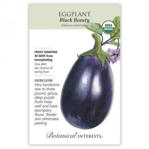بذور باذنجان الجميلة السوداء عضوي -  Black Beauty Eggplant Seeds