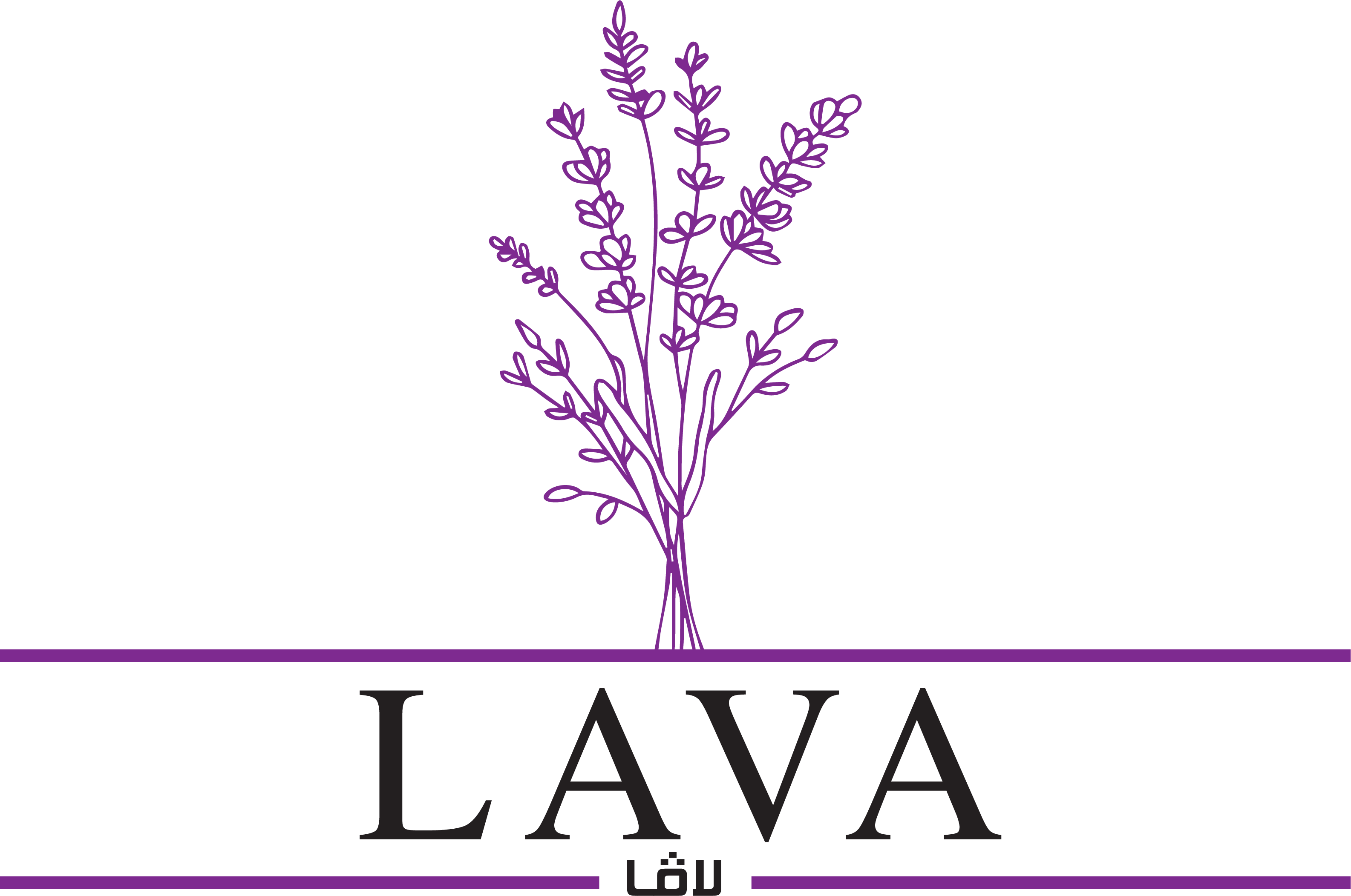 لافا | LAVA