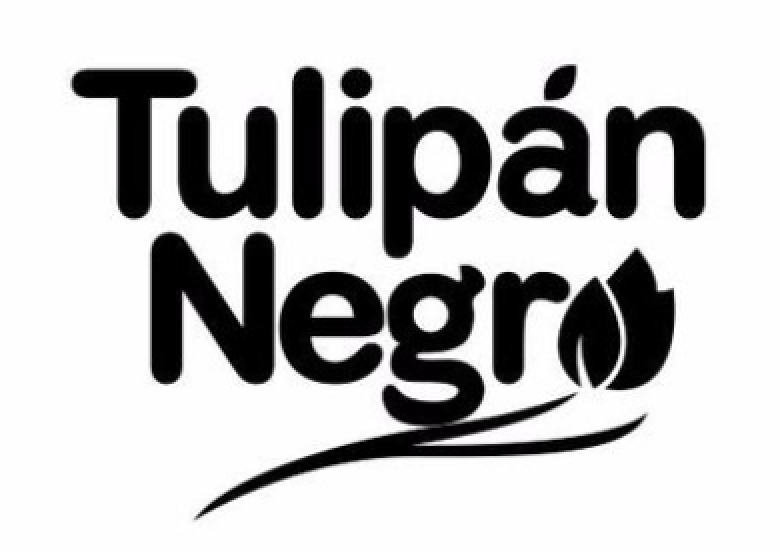 توليبان نيجرو | TULIPAN NEGRO