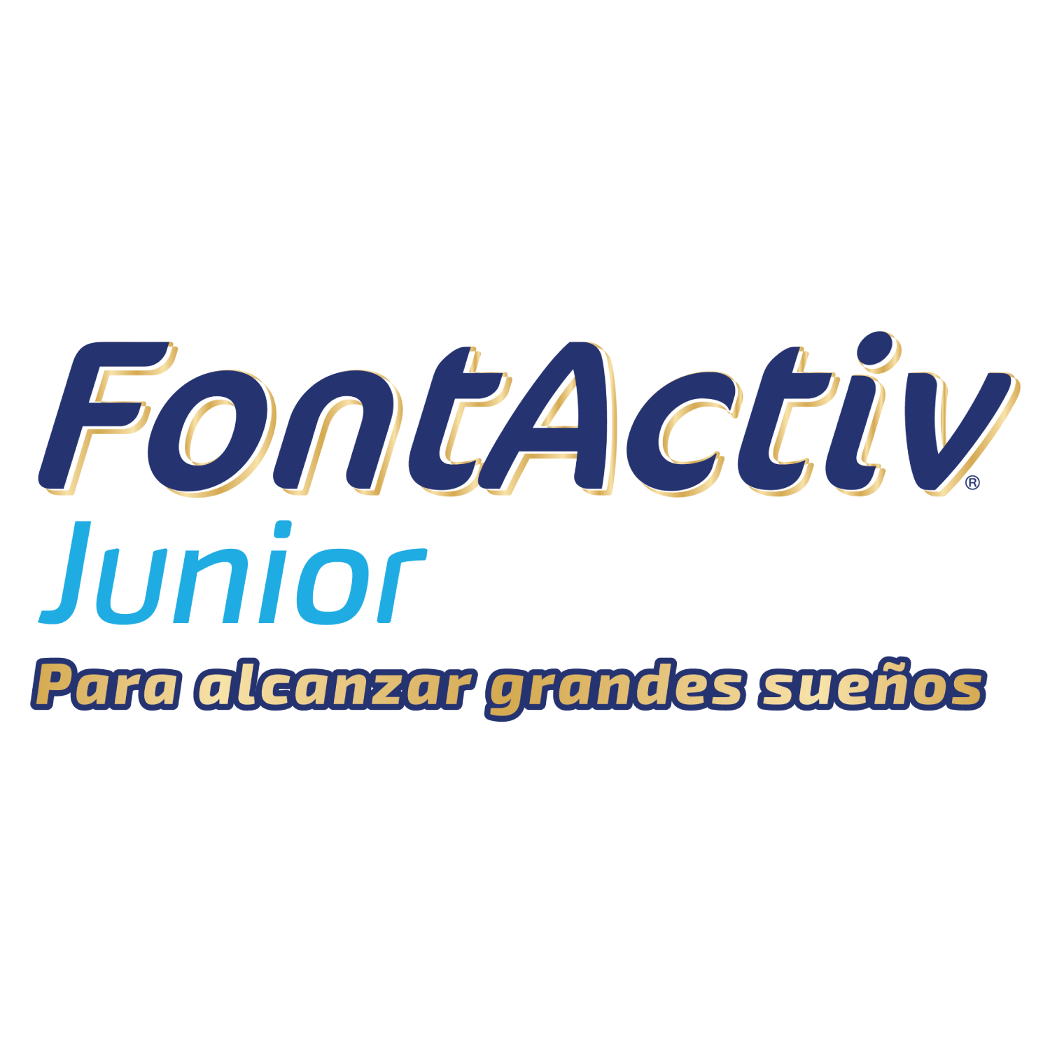 FontActiv