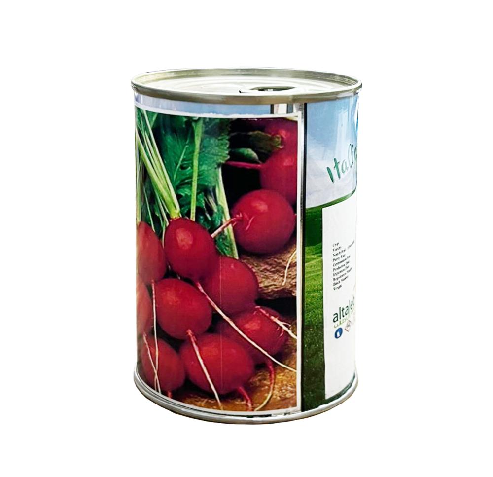 بذور فجل أحمر كروي باكيت إيطالي 50 جرام