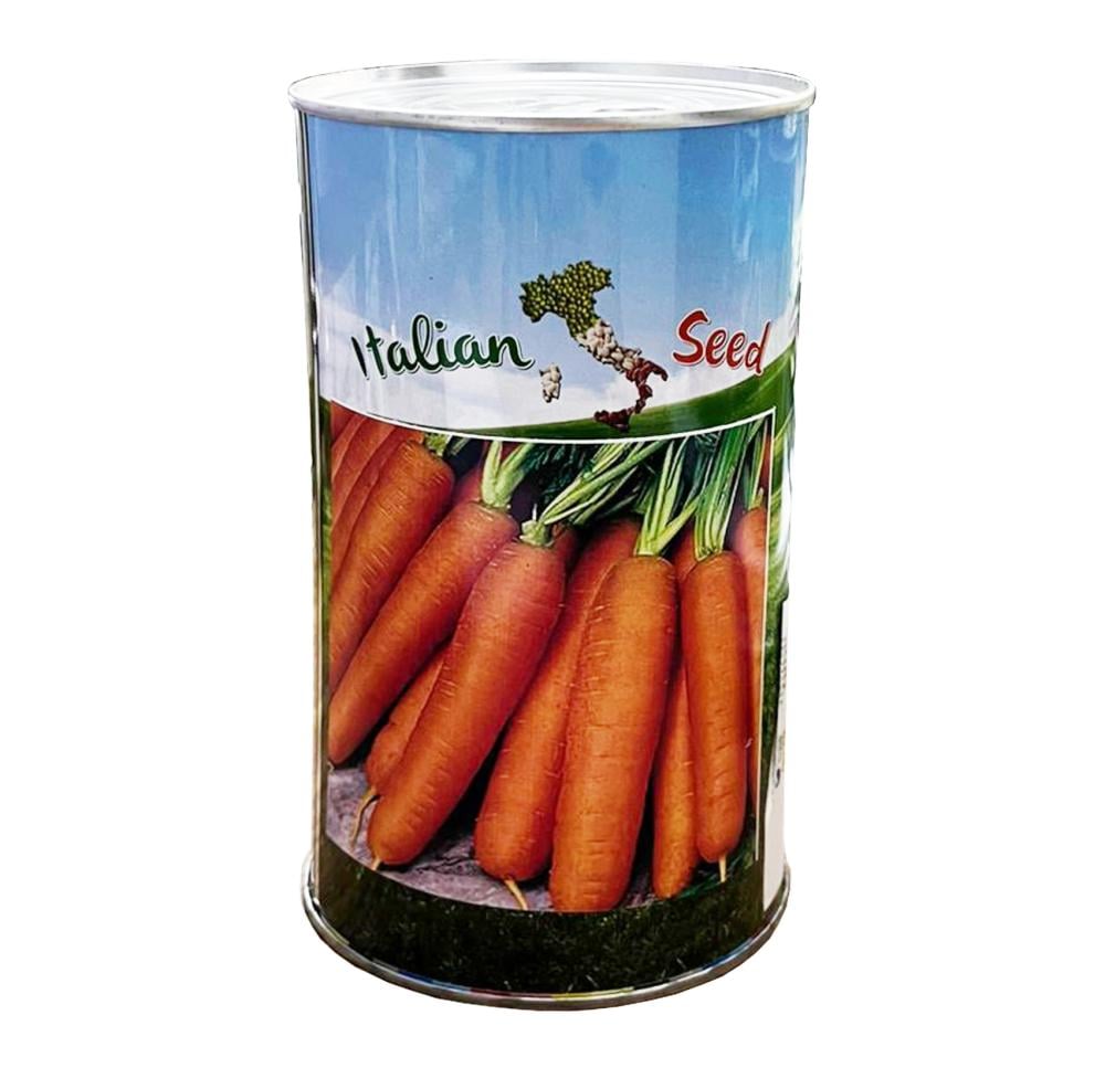 بذور جزر نانتيس ليبرة علبة إيطالي