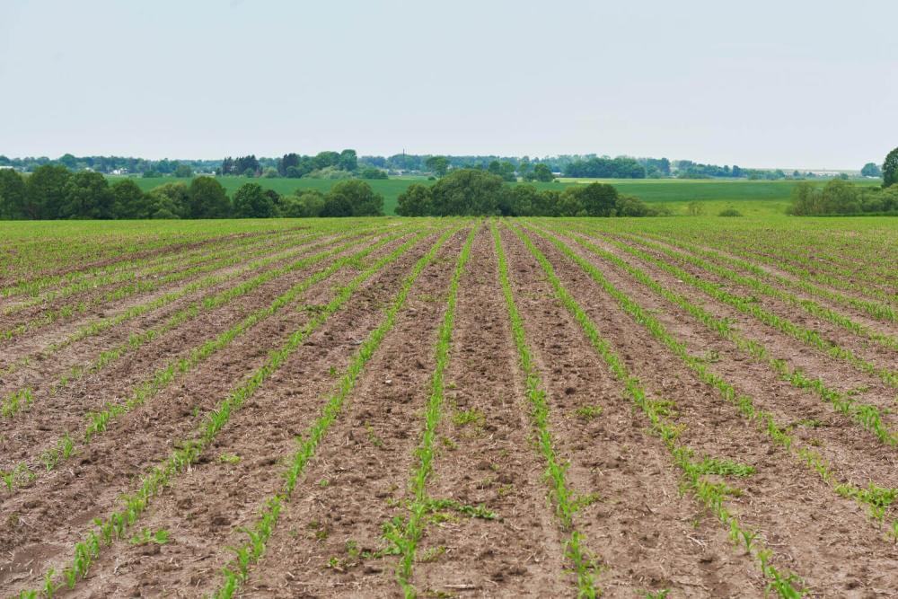 ما هي خصائص التربة الصالحة للزراعة | أهم مكونات وأنواع التربة الزراعية