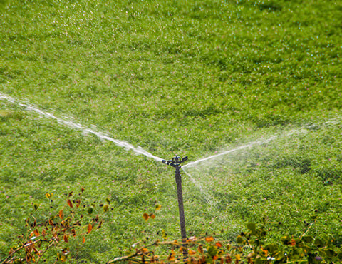 مواسير وليات وفلاتر