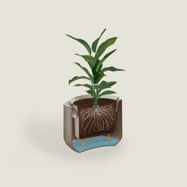 أحواض ذاتية الري