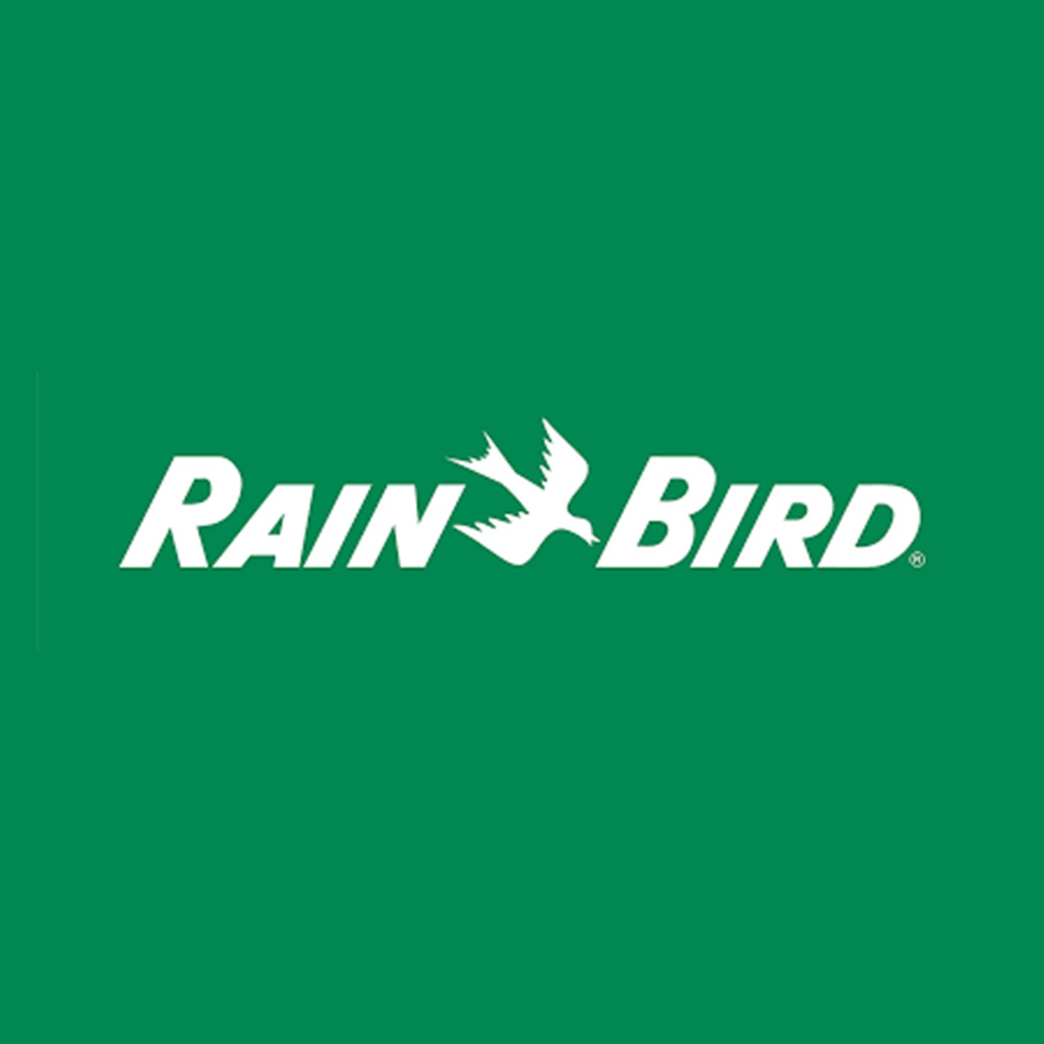 RAIN BIRD