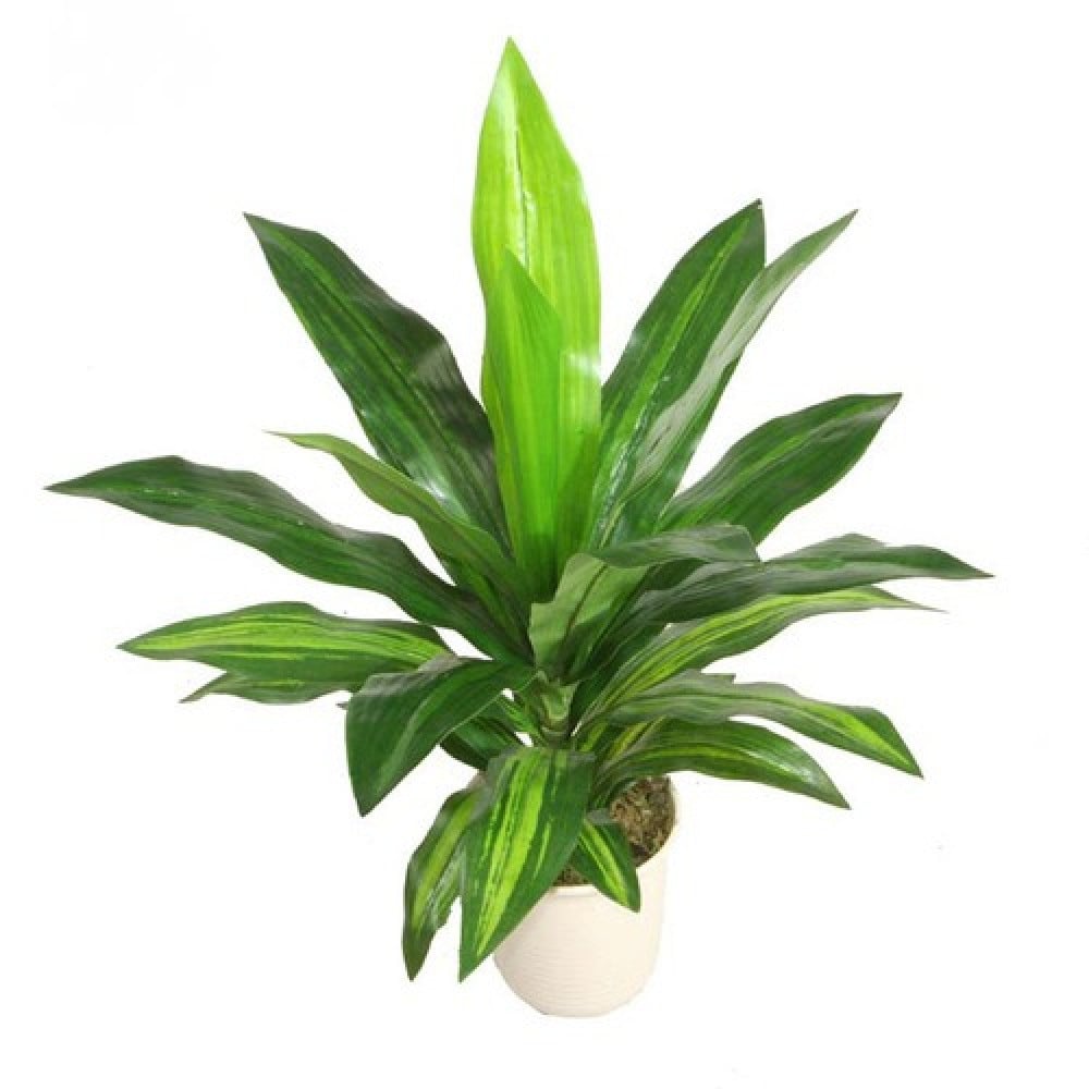 نبتة صناعية دراسينا طول 65 سم