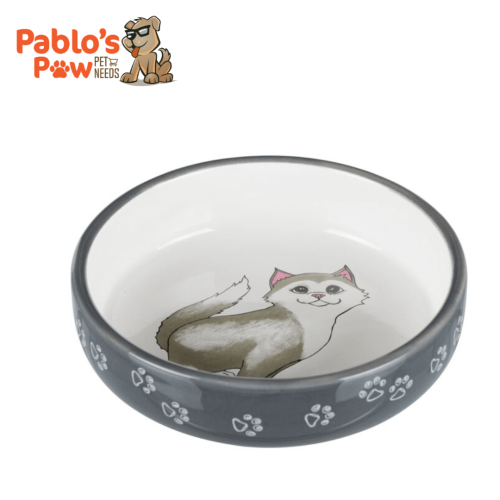 Cat Slow Feeder Bowl Set - 2 Pcs Ceramic Cat Food Plates For Slow Eating - Double Cat Dish For Dry Wet Food - Slow Feeding Cat Bowls Whisker Friendly