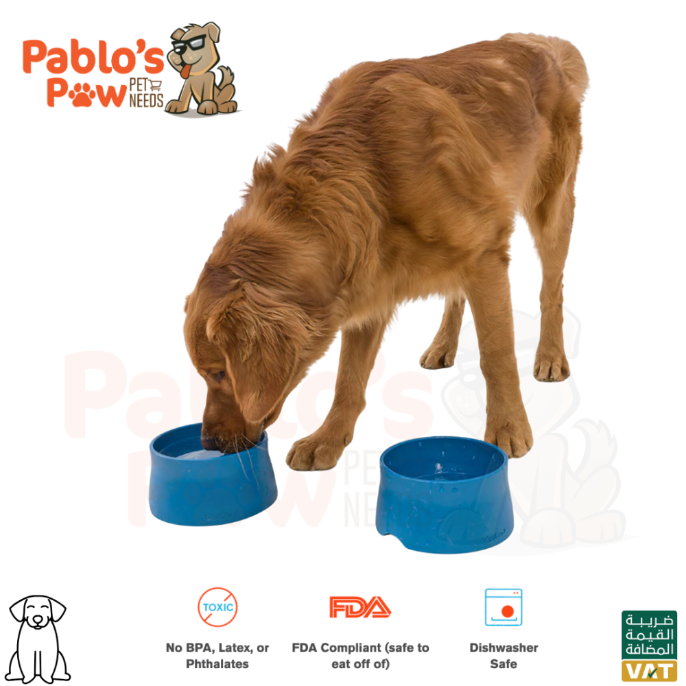 West Paw Non Slip Bowl for dogs