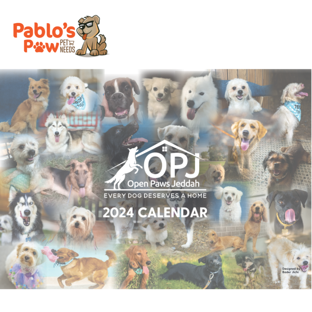 2024 Open Paws Jeddah 2024 Calendar Pet