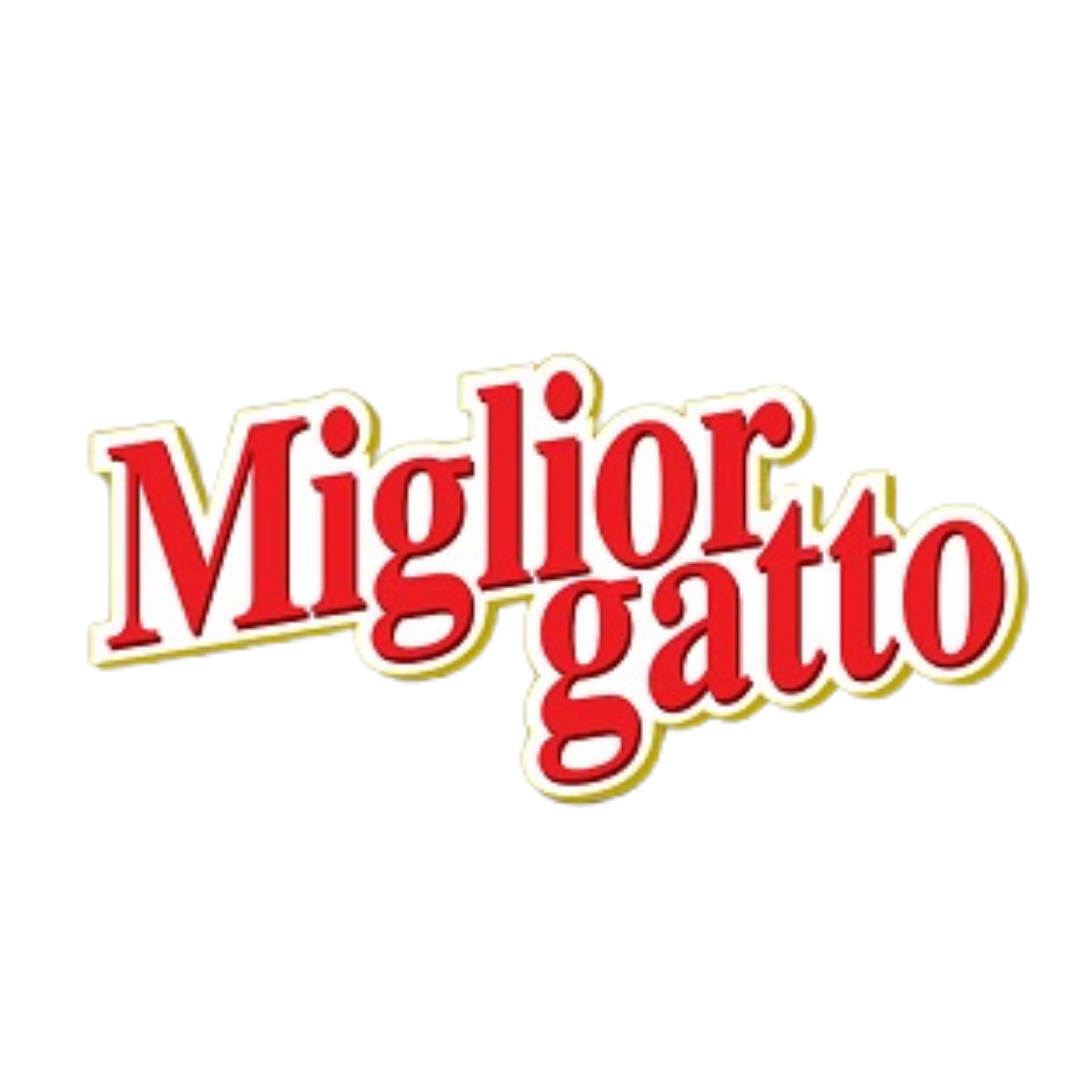 ميليور جاتو Miglior Gatto