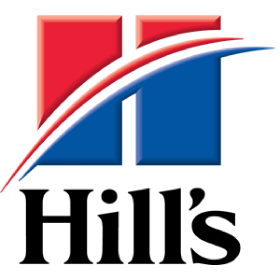 Hills Cats هيلز قطط