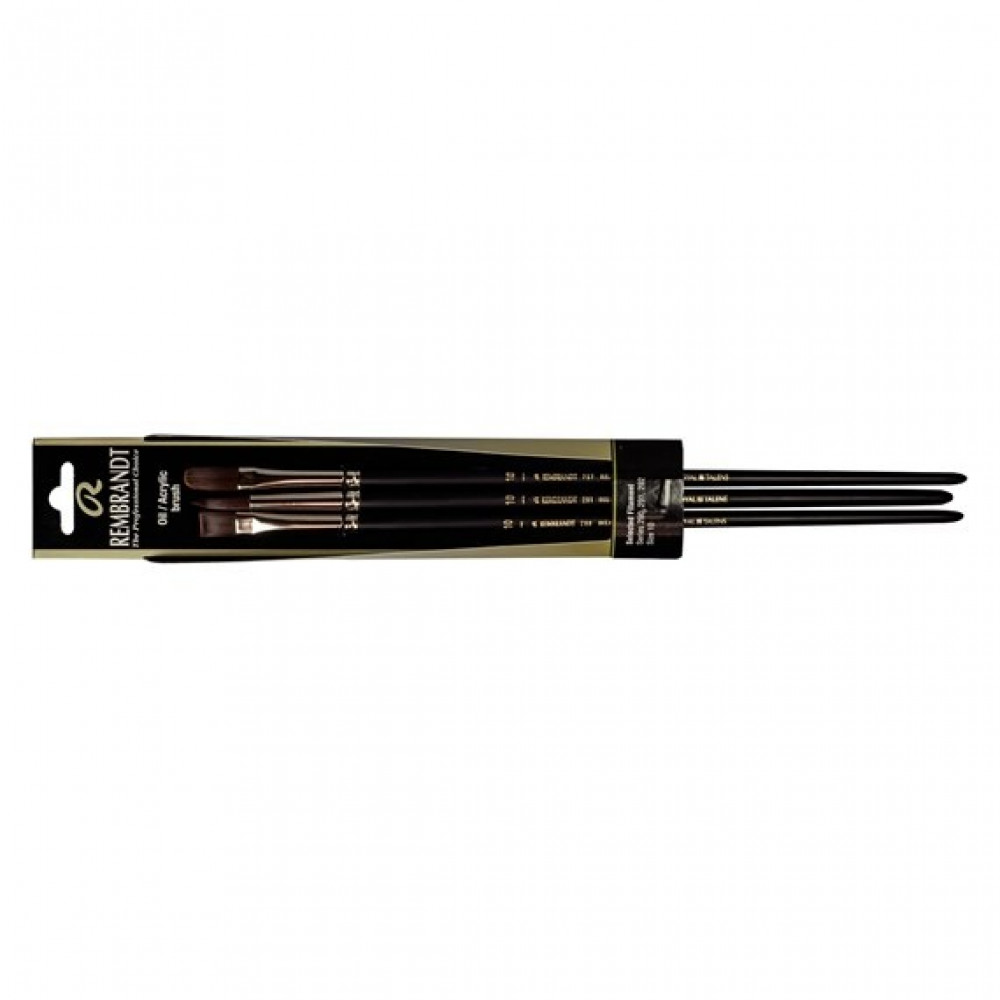 Rembrandt - طقم من ٣ فرش للألوان الزيتية والأكريلك سلسلة 290-291-292مقاس (10)