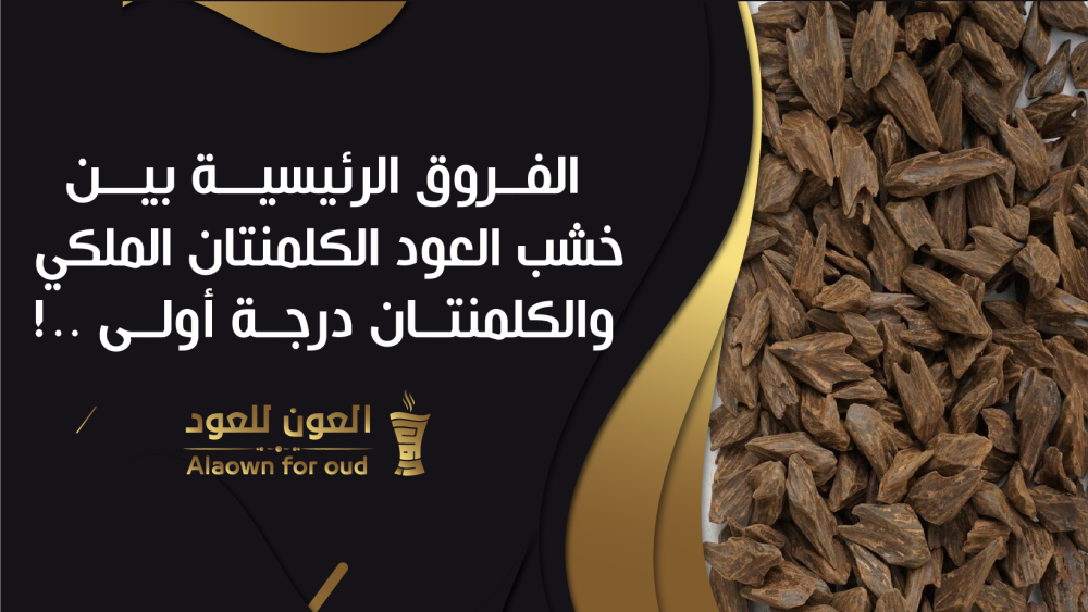 الفروق الرئيسية بين خشب العود الكلمنتان الملكي والكلمنتان درجة أولى