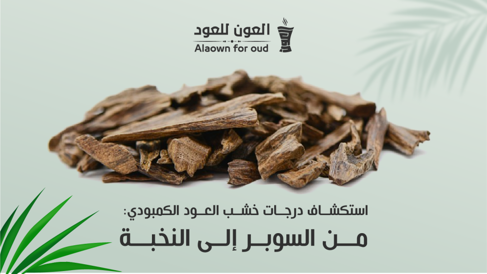 استكشاف درجات خشب العود الكمبودي: من السوبر إلى النخبة