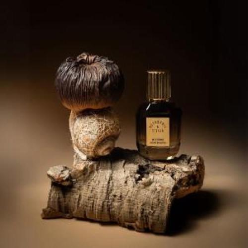 عطر ان اكستريمس 50 مل In Extremis Astrophil & Stella