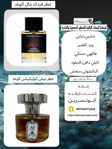 عطر مستوحى عطر نيش كوليكشن الوعد برفيوم حجم 30مل