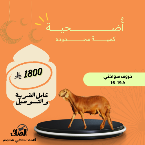 سواكني 16-19 كـ