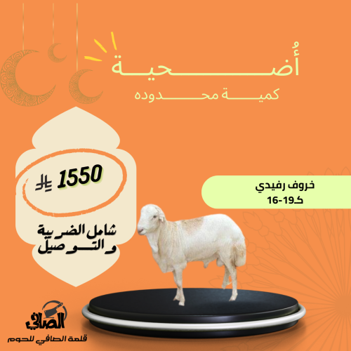 رفيدي 16-19 كـ