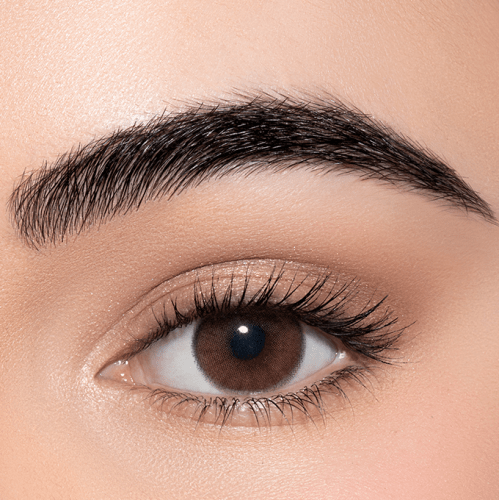 لينس مي عدسات لاصقة ديت