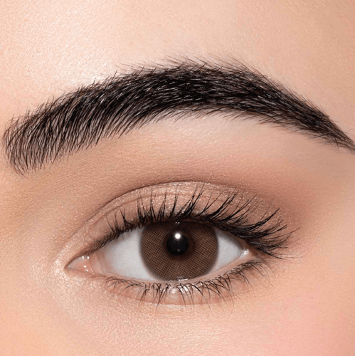 لينس مي عدسات لاصقة تي